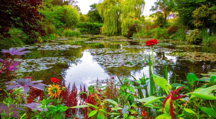 Il giardino e lo stagno di Monet