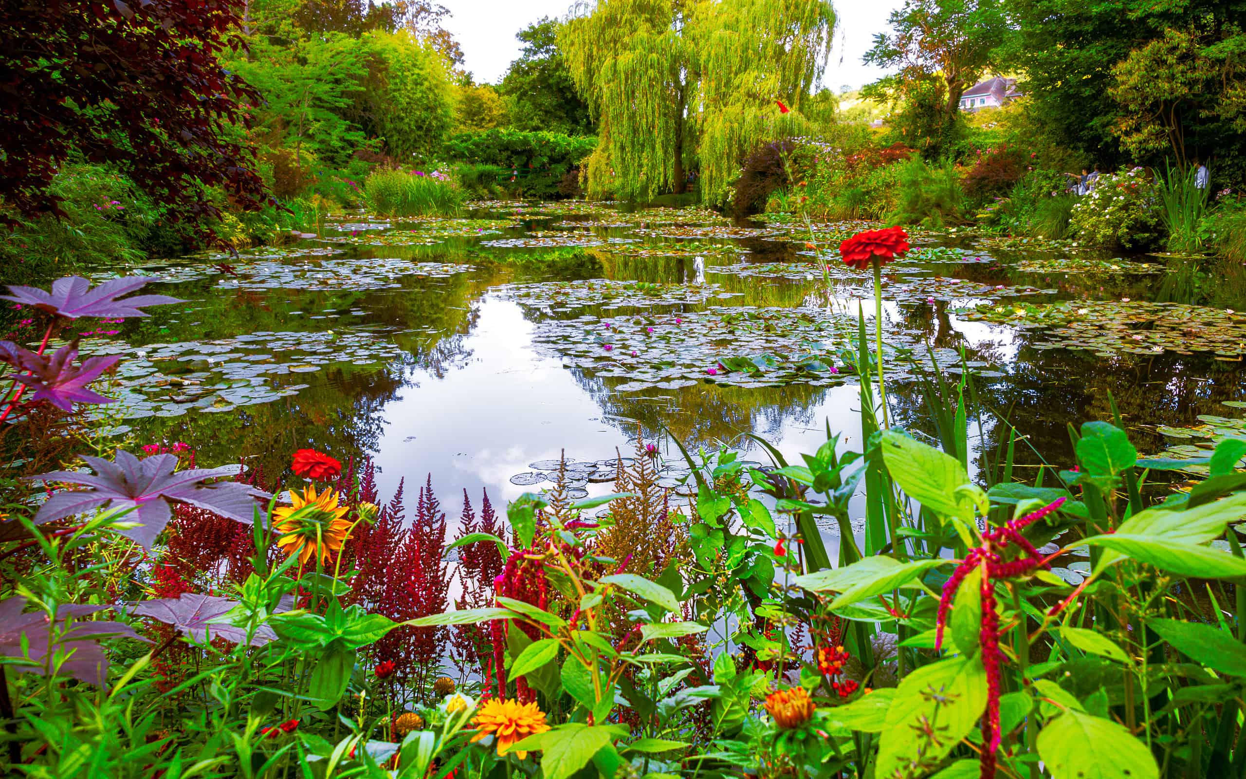 Il giardino e lo stagno di Monet