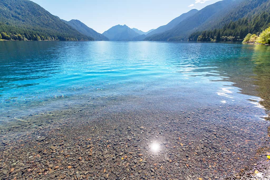 Lake Crescent al Parco Nazionale Olimpico, Washington, Stati Uniti