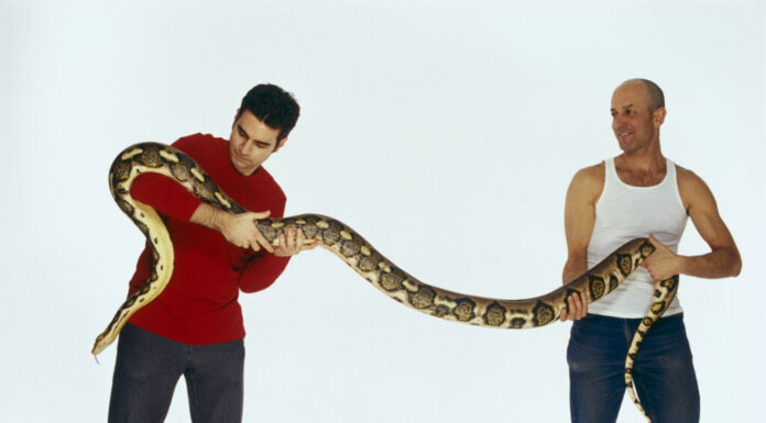 Due uomini che tengono in mano un enorme serpente
