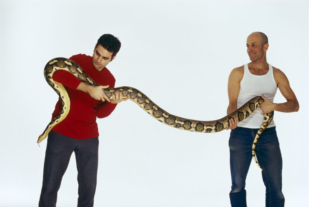 Due uomini che tengono in mano un enorme serpente