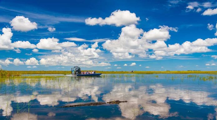 Parco nazionale delle Everglades, Florida