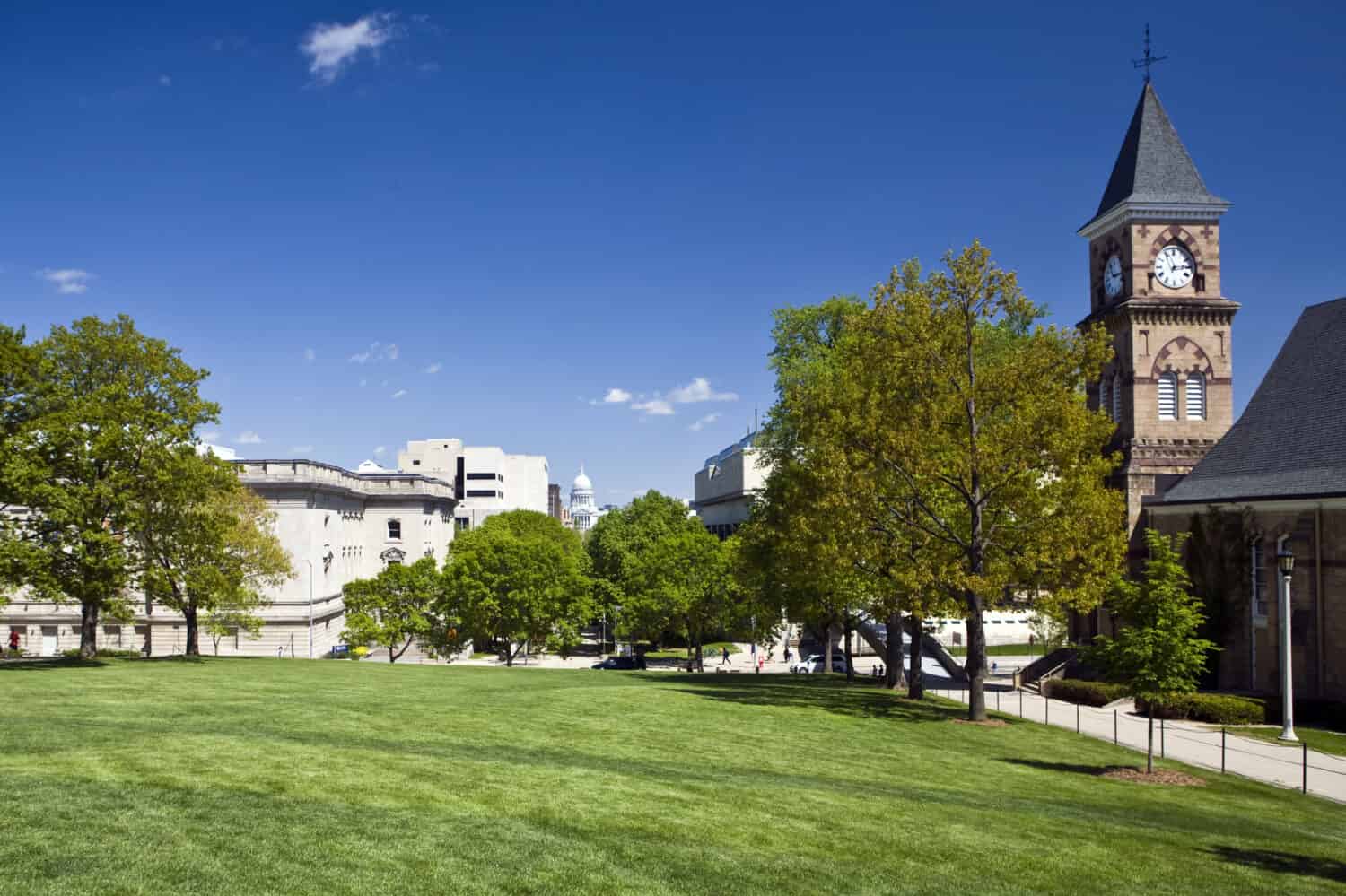 Il verde rigoglioso del prato e degli alberi del campus della UW a Madison, nel Wisconsin, contrasta con il Campidoglio in lontananza.