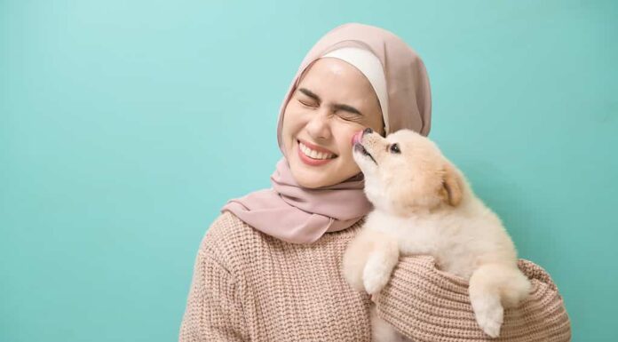 Ritratto di giovane donna musulmana bacia e abbraccia il suo cane su sfondo verde.