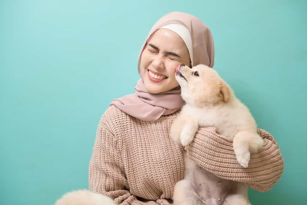Ritratto di giovane donna musulmana bacia e abbraccia il suo cane su sfondo verde.