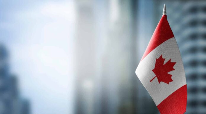 Una piccola bandiera del Canada sullo sfondo di uno sfondo sfocato
