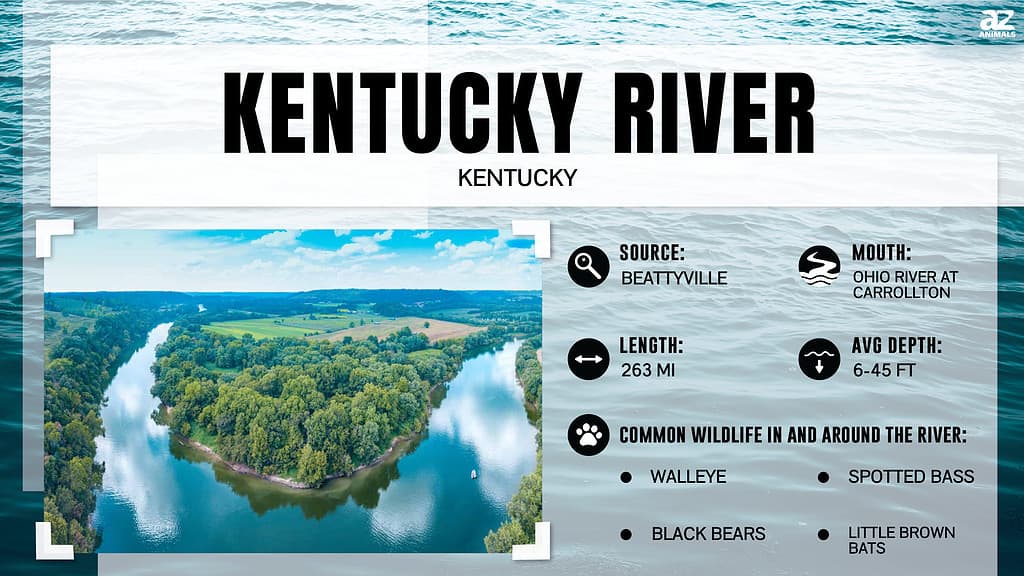 Infografica sul fiume Kentucky