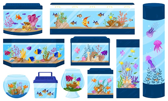 Acquari di cartoni animati con pesci sottomarini, alghe e coralli.  Set di illustrazioni vettoriali per animali domestici con pesci subacquei per acquario.  Ambiente acquario con fauna marina