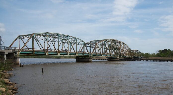 Il fiume Pearl tra la Louisiana e il Mississippi scorre attraverso il Bogue Chitto National Wildlife Refuge, una vasta zona umida.