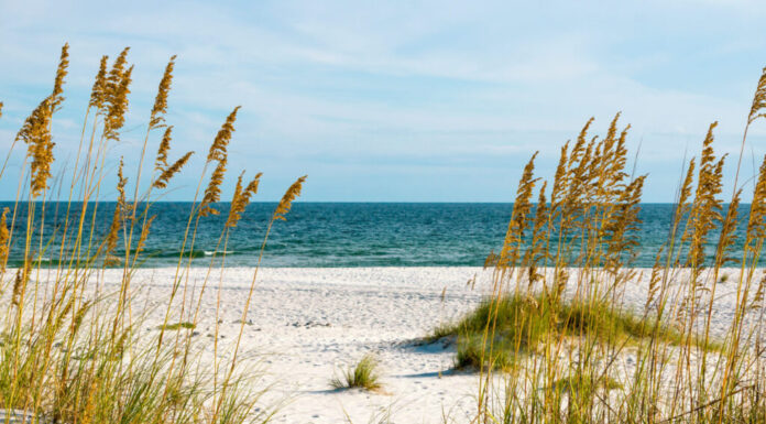 Una scena sulla costa del Golfo dell'Alabama.