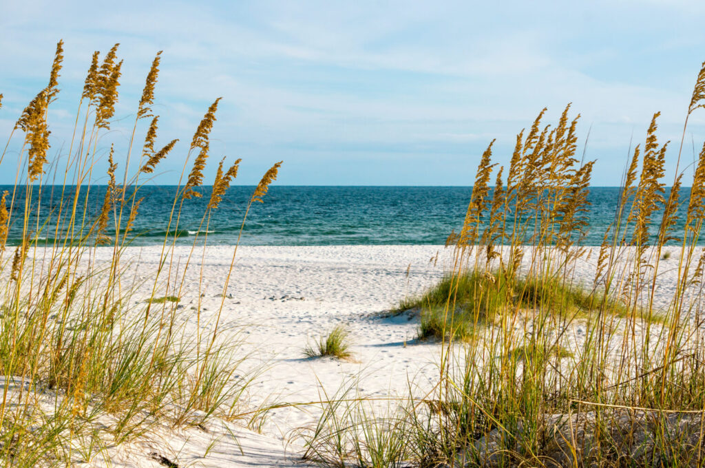 Una scena sulla costa del Golfo dell'Alabama.