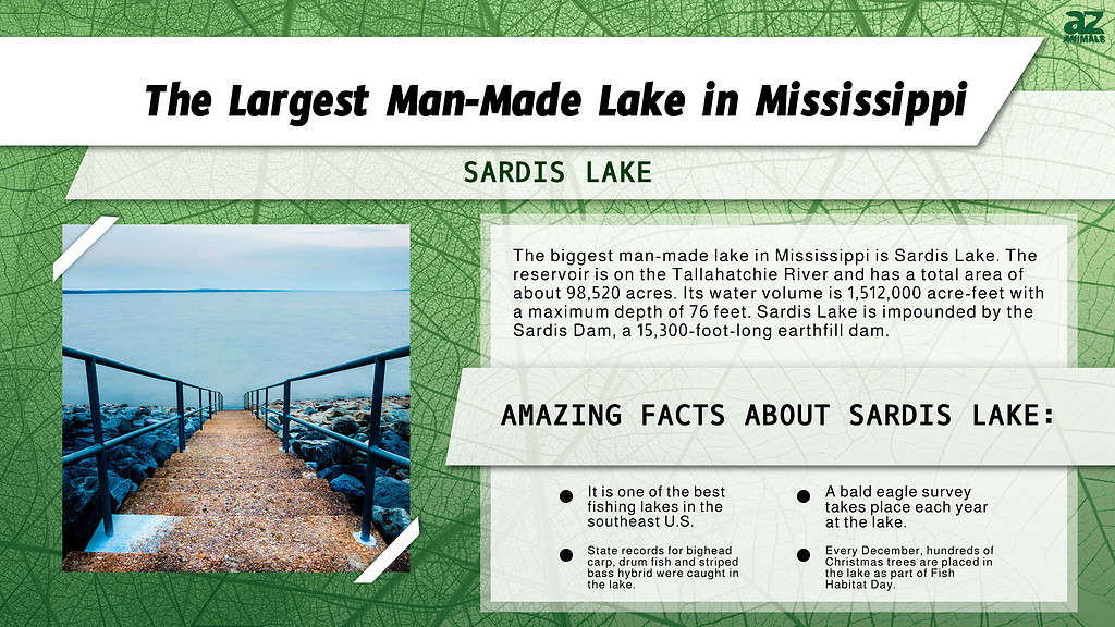 Infografica del più grande lago artificiale del Mississippi