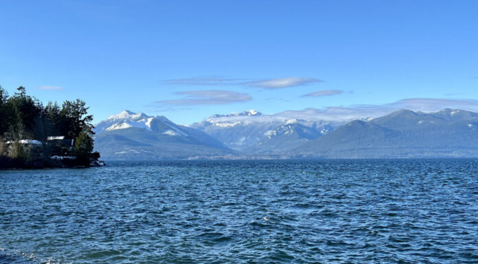 Hood Canal si trova a ovest di Seattle, tra la penisola di Kitsap e quella olimpica.