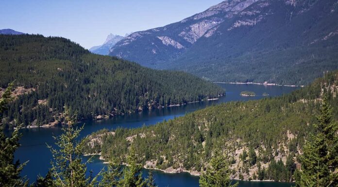 Ross Lake è un grande bacino idrico nelle montagne North Cascade, nel nord dello stato di Washington, negli Stati Uniti.  Vista da Ross Lake Overlook sulla Washington State Route 20.