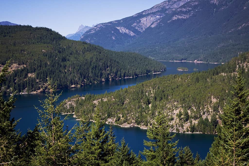 Ross Lake è un grande bacino idrico nelle montagne North Cascade, nel nord dello stato di Washington, negli Stati Uniti.  Vista da Ross Lake Overlook sulla Washington State Route 20.