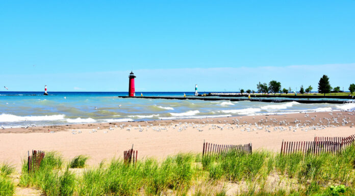 Il lontano porto del faro e gli indicatori di dritta visti da Simmons Island lungo la linea costiera del lago Michigan con spiaggia di sabbia ed erbe selvatiche in primo piano.  