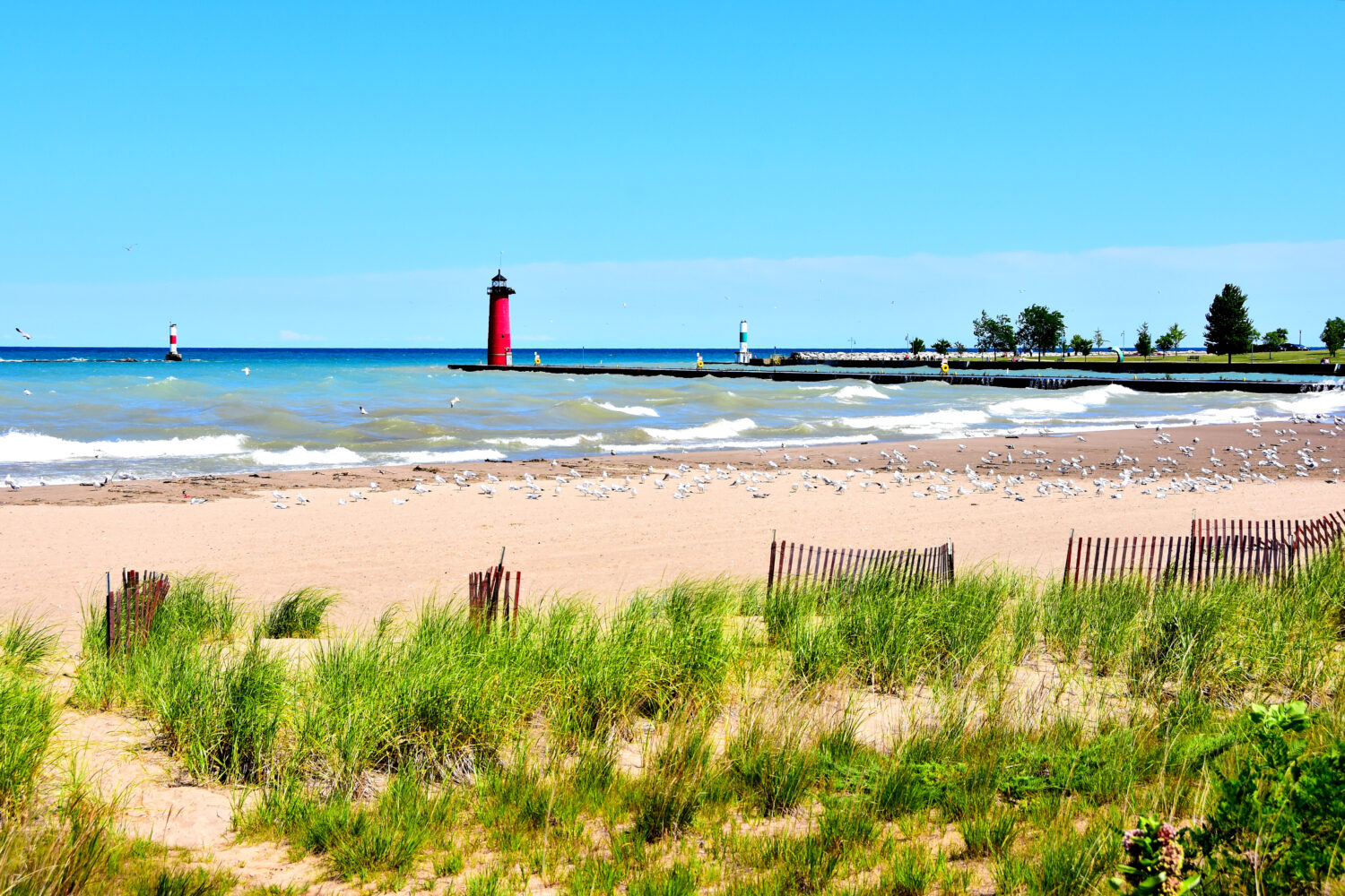 Il lontano porto del faro e gli indicatori di dritta visti da Simmons Island lungo la linea costiera del lago Michigan con spiaggia di sabbia ed erbe selvatiche in primo piano.  
