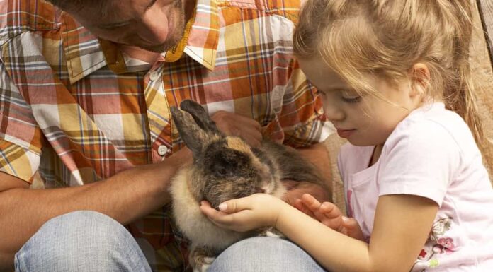 Padre e figlia con coniglietto