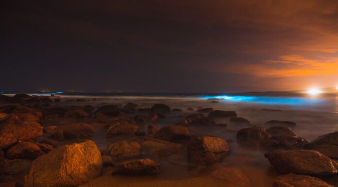 Una bellissima vista della costa rocciosa di notte a Porto Rico