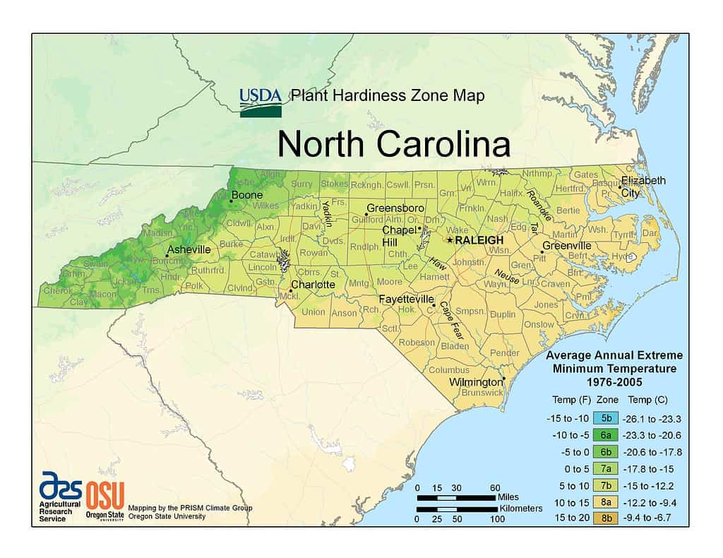 Zone di piantagione della Carolina del Nord