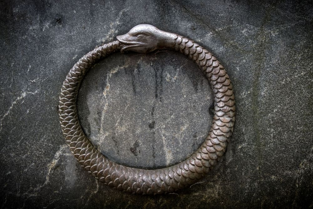 serpente che mangia la coda ouroboros