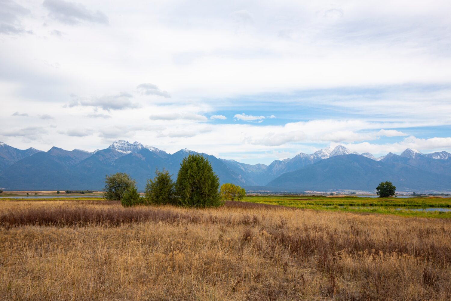 Destinazione vista panoramica sulle praterie e verso lontane montagne innevate della Bison Range Reserve nella riserva indiana di Flathead nel Montana