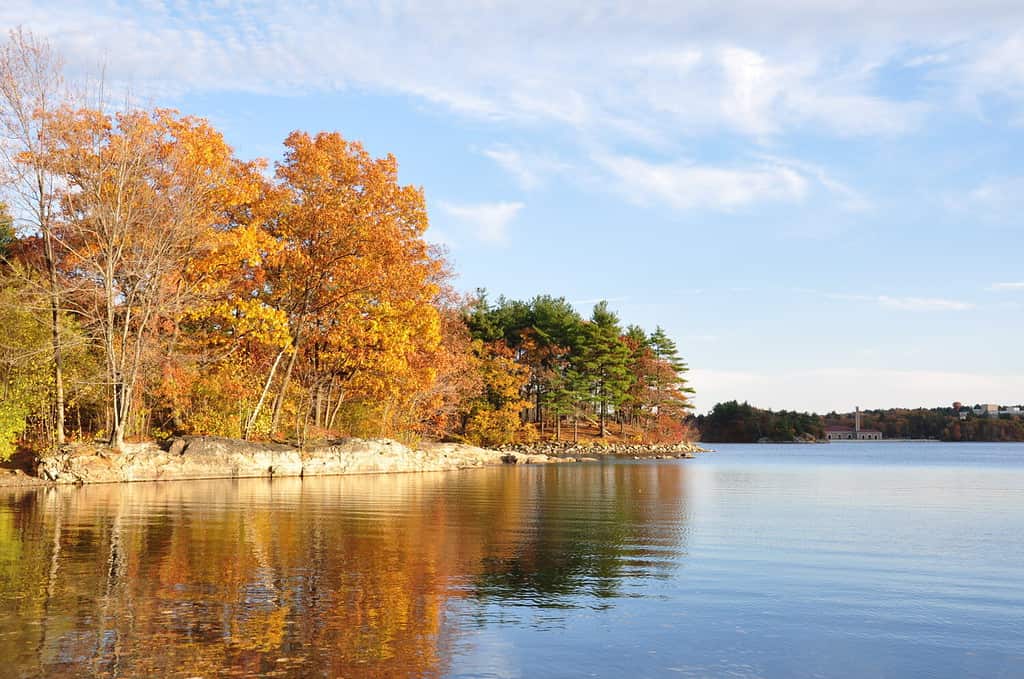 Colori autunnali a Spot Pond nel Massachusetts