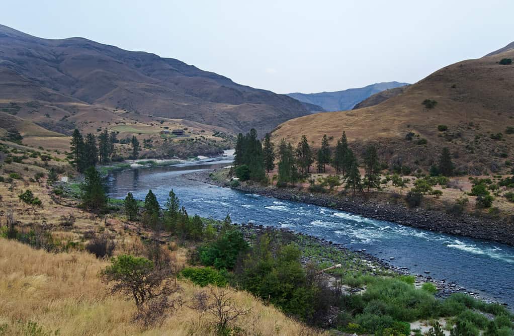 Fiume Salmon inferiore, Idaho