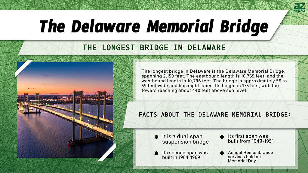 Informazioni sul ponte commemorativo del Delaware