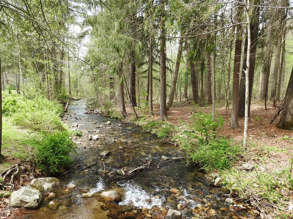 La bellezza paesaggistica dell'Antietam Creek che attraversa il Mount Alto State Park, la Michaux State Forest, la contea di Franklin, Pennsylvania.