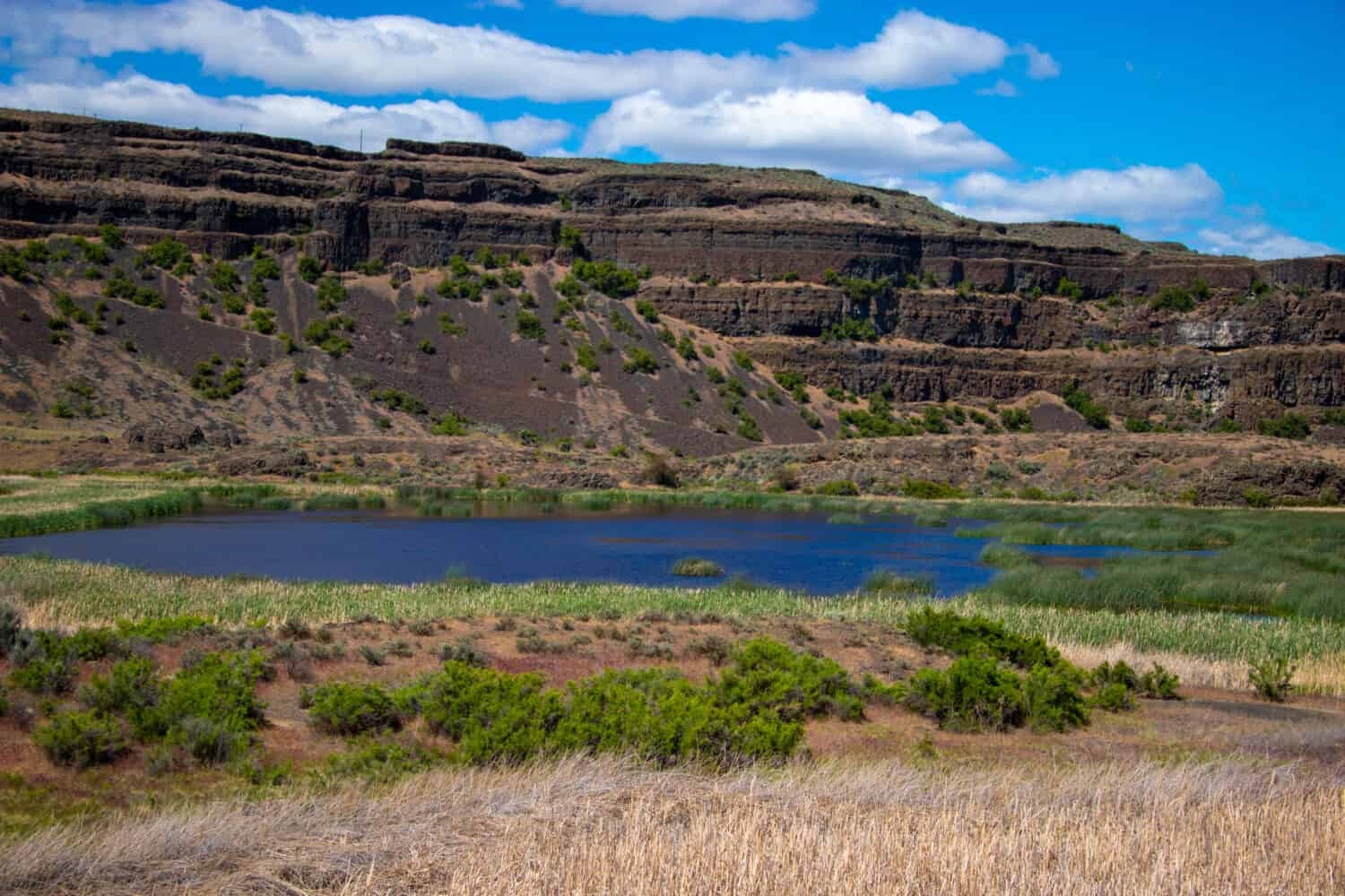 Veduta del parco statale di Dry Falls a Washington