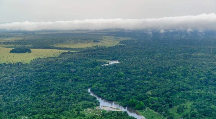 Vista aerea.  Parco nazionale Odzala-Kokoua.  Regione della Cuvette-Ouest.  Repubblica del Congo