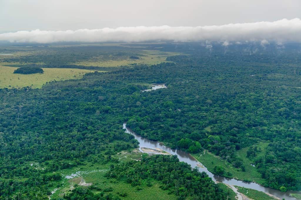 Vista aerea.  Parco nazionale Odzala-Kokoua.  Regione della Cuvette-Ouest.  Repubblica del Congo