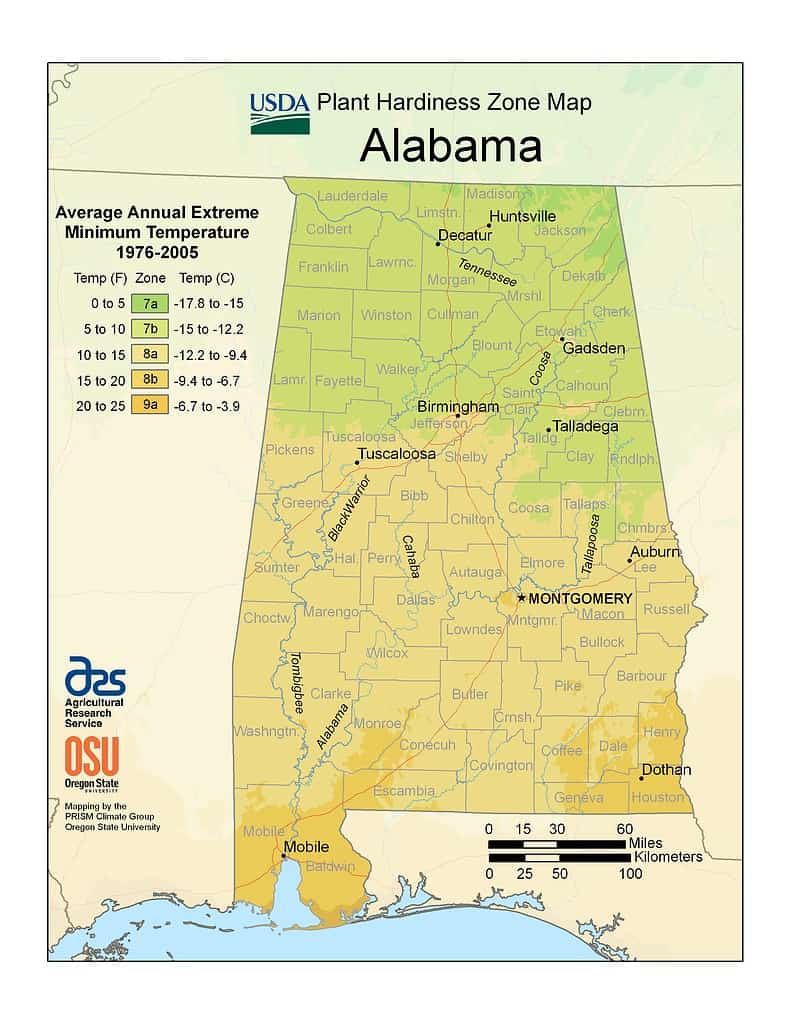 Zone di piantagione dell'Alabama