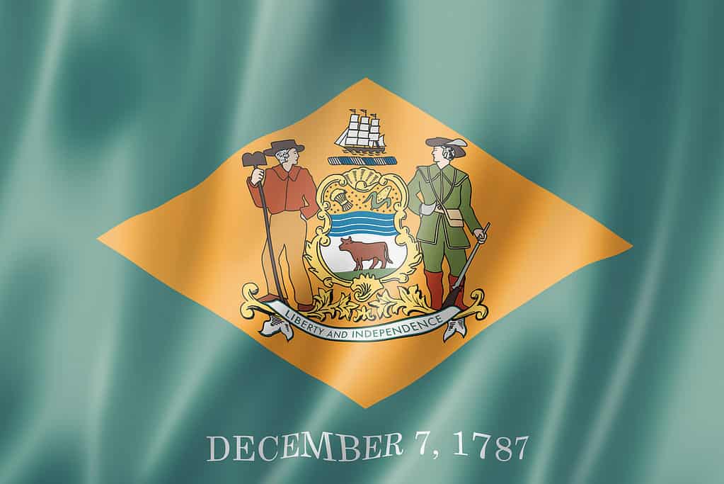 Bandiera del Delaware, Stati Uniti
