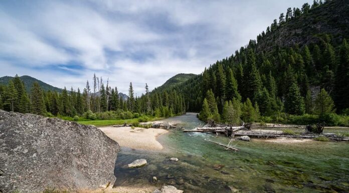 Affluente del fiume Payette a Grandjean Idaho, presso le sorgenti termali di Sacajawea