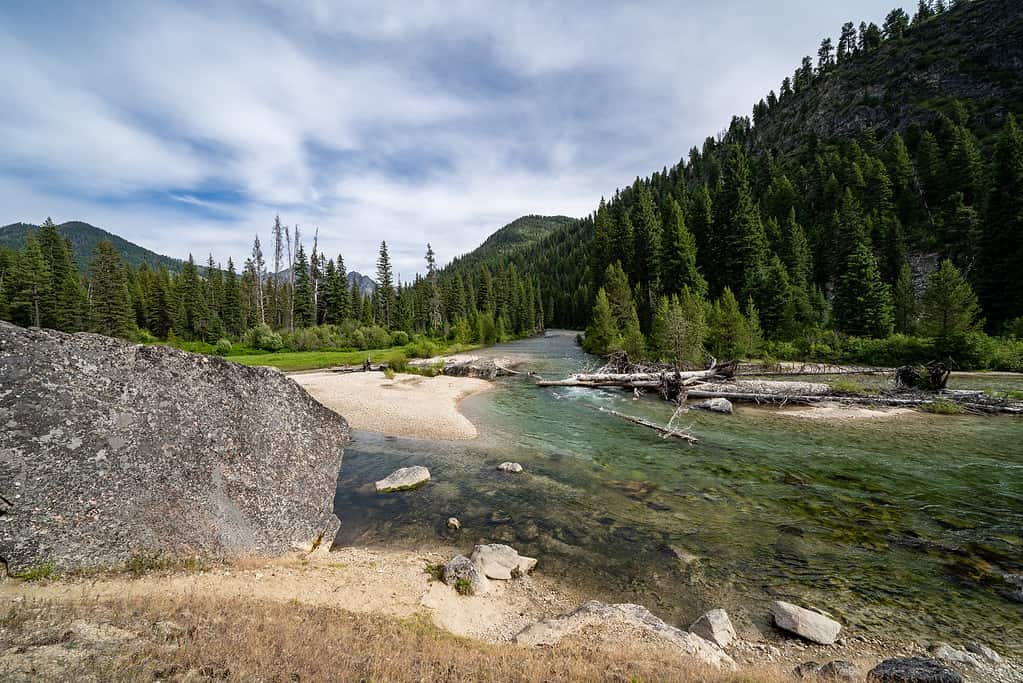 Affluente del fiume Payette a Grandjean Idaho, presso le sorgenti termali di Sacajawea