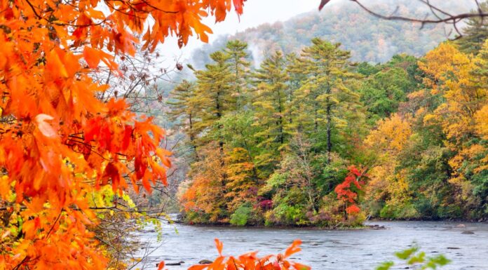 Stagione autunnale nel fiume Housatonic nelle colline di Litchfield nel Connecticut