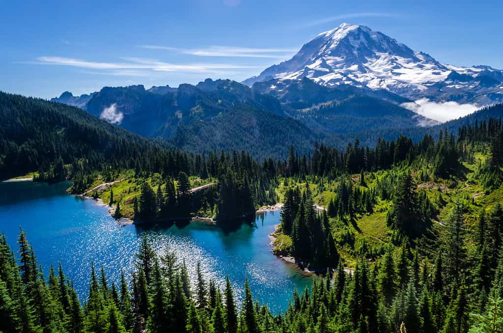 Il Monte Rainier e il Lago Eunice visti dal Tolmie Peak