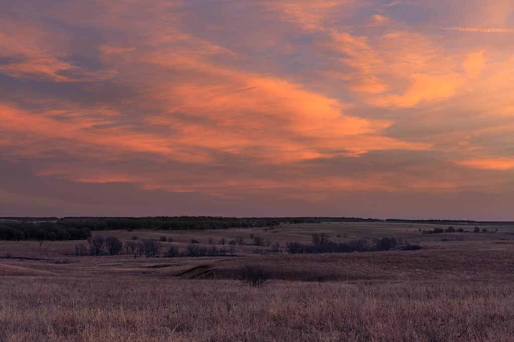 L'alba mentre il sole sorge in lontananza nella Tallgrass Prairie Preserve a Pawhuska, Oklahoma, febbraio 2018