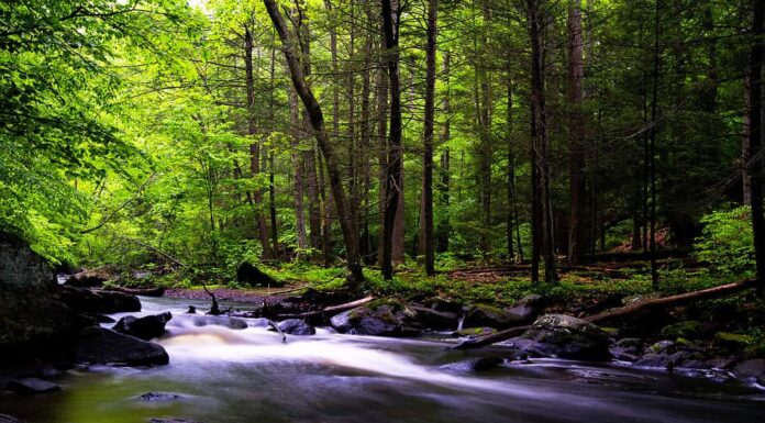 10 sorgenti naturali nel New Jersey e dove trovarle
