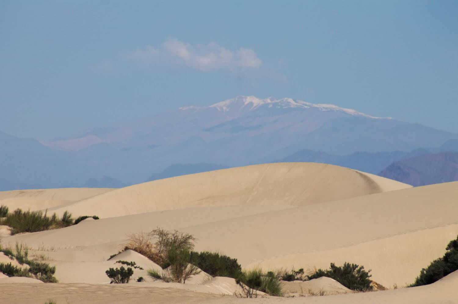 Deserto di dune di sabbia bianca a nord di Fiambala Argentina.