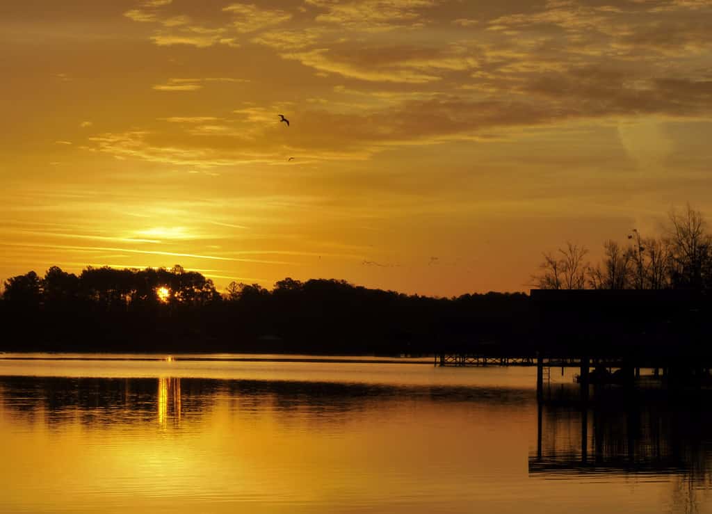 Alba sul lago Weiss vicino a Cedar Bluff, Alabama