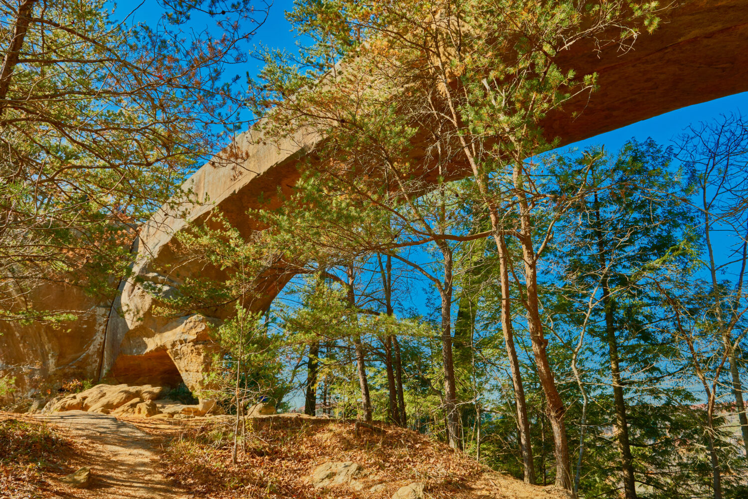 Arco del ponte del cielo, Red River Gorge KY