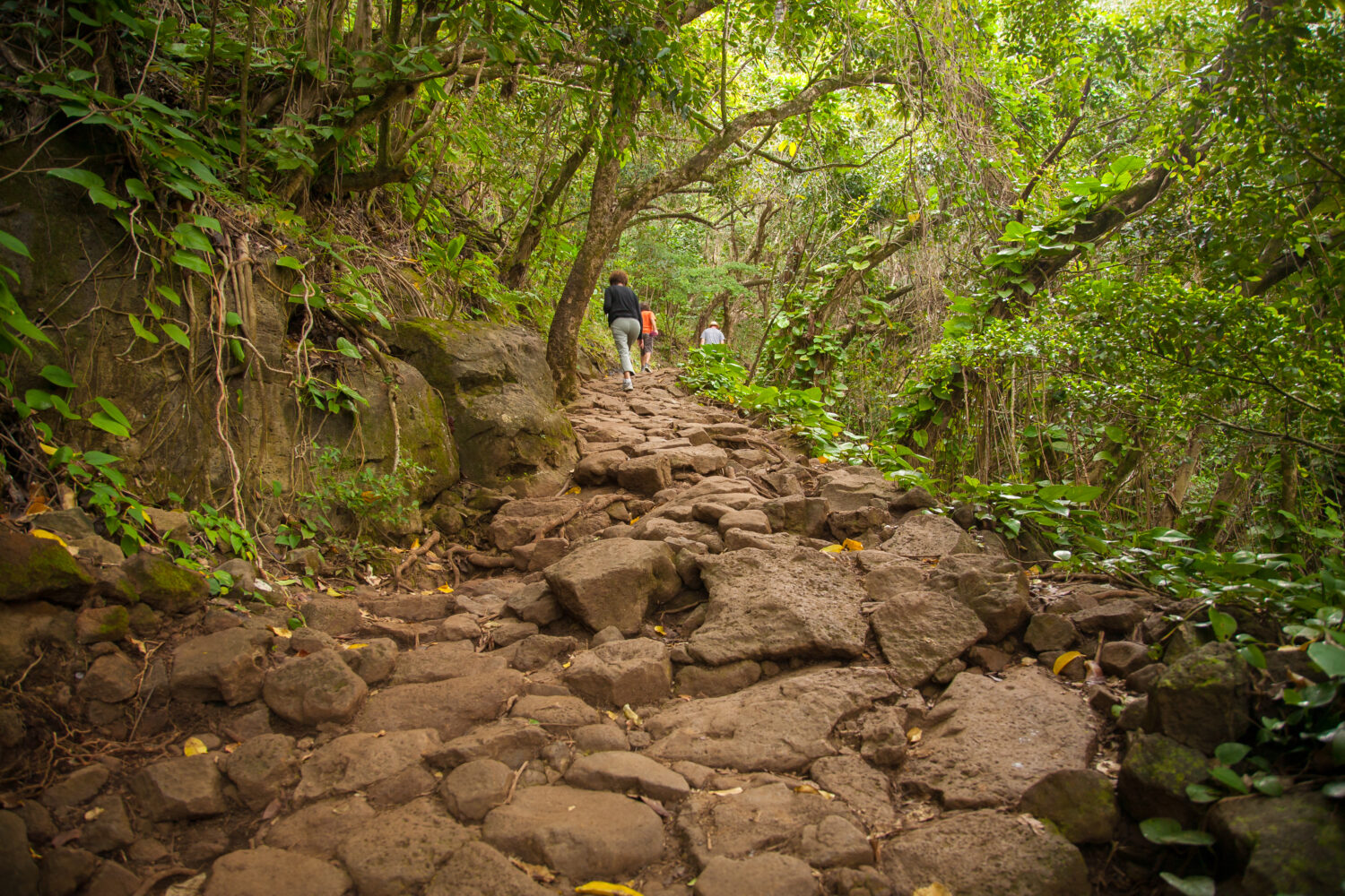 Tre escursionisti sul sentiero Kalalau, 11 miglia di escursioni lungo la costa Na Pali sulla costa nord dell'isola di Kauai