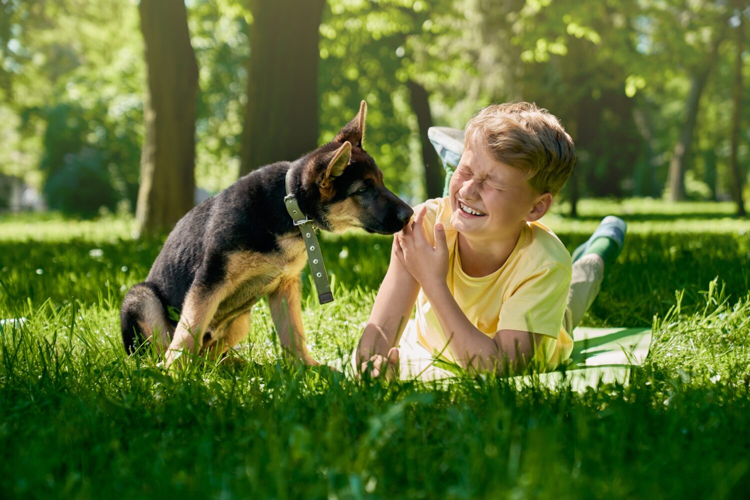 Cucciolo di pastore tedesco che lecca le mani del ragazzo sorridente al parco cittadino.  Bambino gioioso che gioca con il suo cagnolino durante le giornate soleggiate all'aperto.
