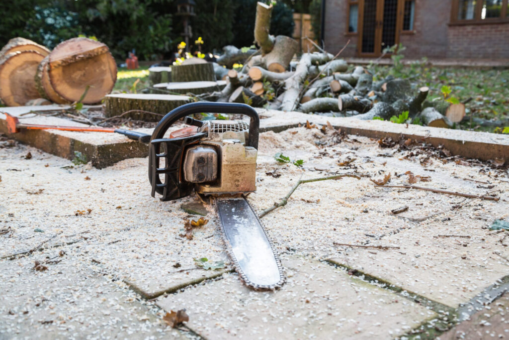 Abbattere una grande quercia nelle zone residenziali è pericoloso.