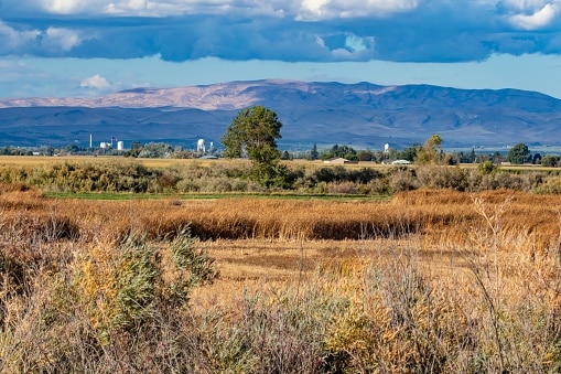 Città di Toppenish Washington dal Toppenish National Wildlife Refuge