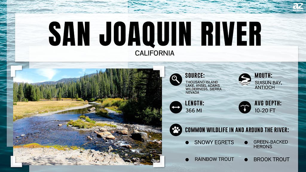 fiume San Joaquin