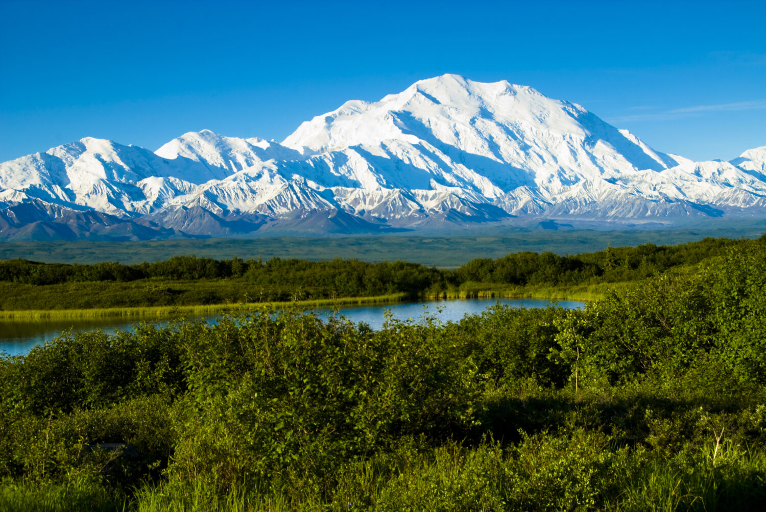 Denali dal vicino lago Wonder